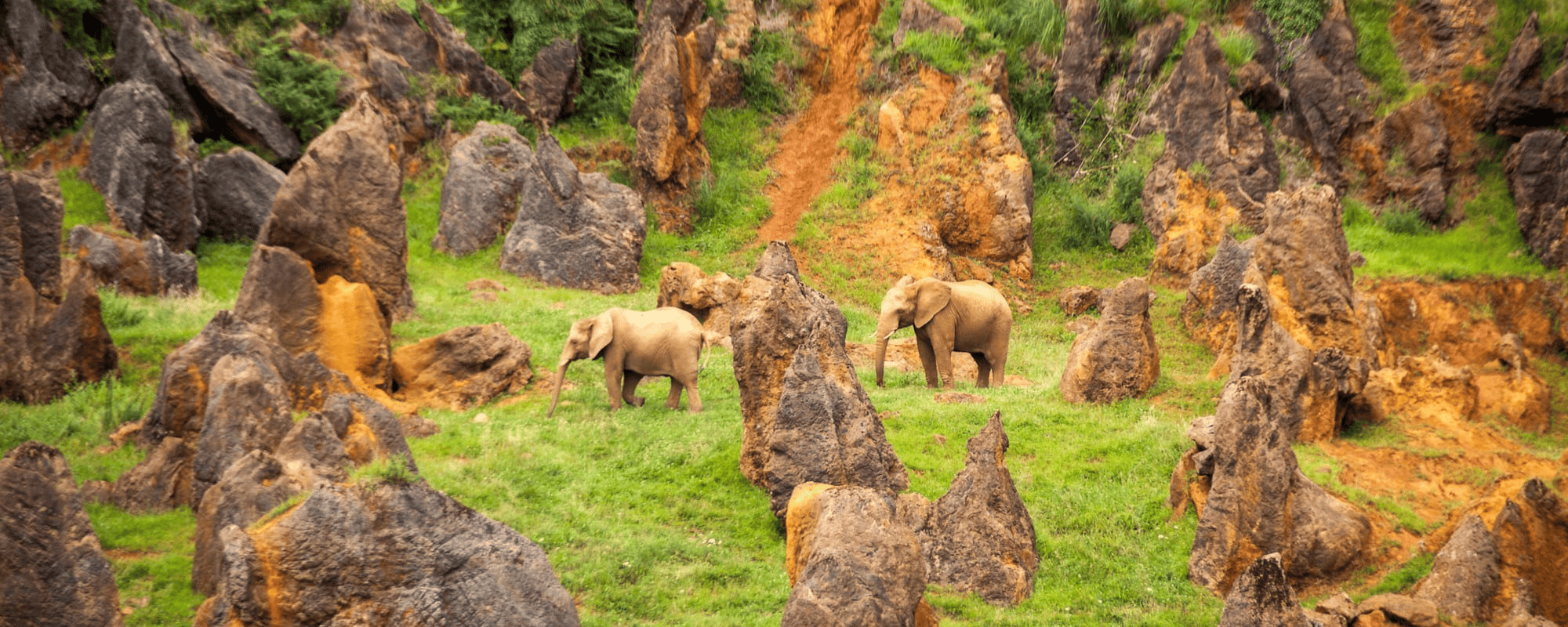 IES LUIS VIVES CANTABRIA 2026