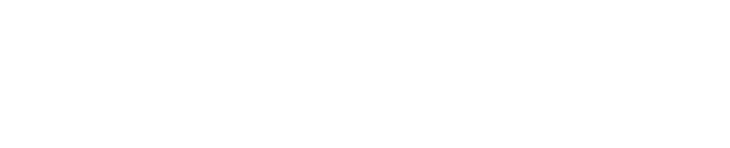 Transvia Xperience